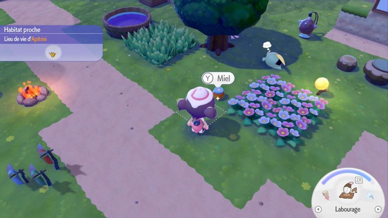 Miel Pokopia : à quoi sert cette ressource et pourquoi devriez-vous la garder ? 