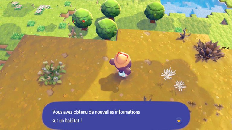 Baudrive et les Îles-Rêves Pokopia : comment trouver ce Pokémon et se rendre dans ces mystérieuses îles ? 