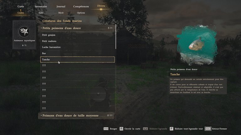Tanche Crimson Desert : où pêcher ce poisson pour la requête d'Annabella ? 