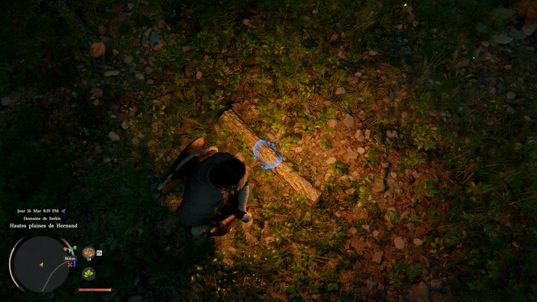 Bois Crimson Desert : comment utiliser la hache de bûcheron pour couper des arbres ? 