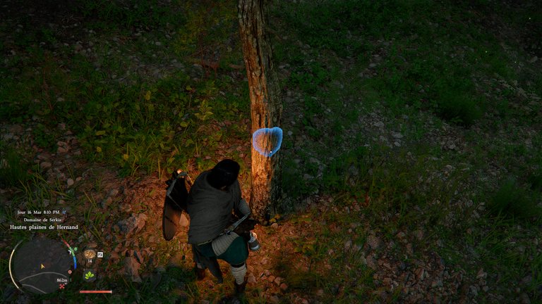 Bois Crimson Desert : comment utiliser la hache de bûcheron pour couper des arbres ? 