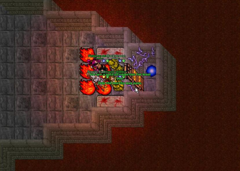 Un joueur a passé 9 ans à gagner des niveaux dans ce jeu pour ouvrir une porte : il est le premier à y être parvenu, mais...