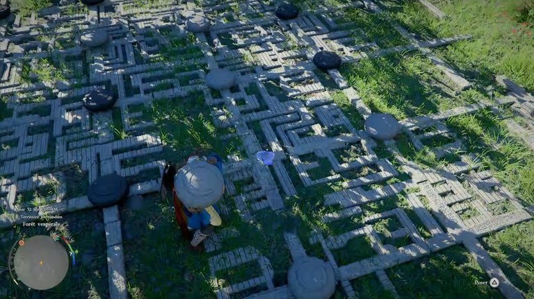 Ruines du rivage de la Forêt vespérale Crimson Desert : comment résoudre cette énigme des pierres blanches et noires ? 