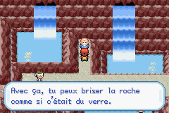 CT CS Pokémon Rouge Feu Vert Feuille : la liste complète pour toutes les trouver