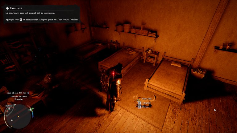 Gros chat Crimson Desert : comment monter la confiance rapidement sans trop d’effort ?