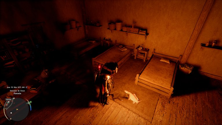 Gros chat Crimson Desert : comment monter la confiance rapidement sans trop d’effort ?