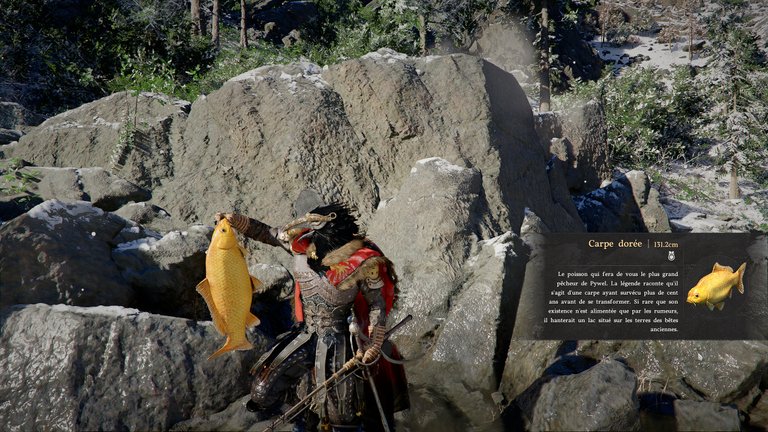 Carpe dorée Crimson Desert : où trouver cet animal légendaire ? 
