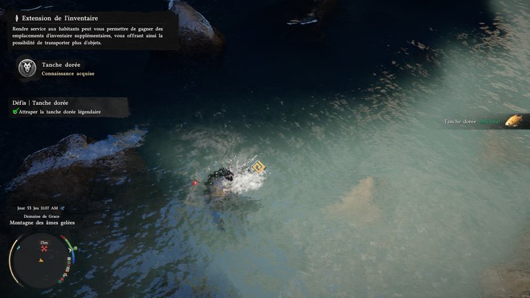 Tanche dorée Crimson Desert : où trouver cet animal légendaire ? 