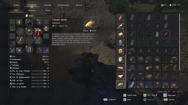 Tanche dorée Crimson Desert : où trouver cet animal légendaire ? 