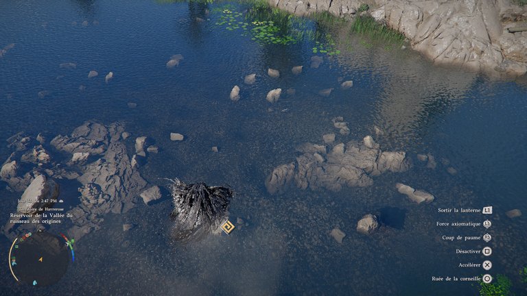 Cœlacanthe Crimson Desert : où trouver cet animal légendaire ? 