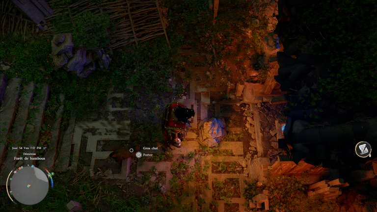 Ruines de la Forêt de bambous Desert : comment résoudre l’énigme des cairns ? 