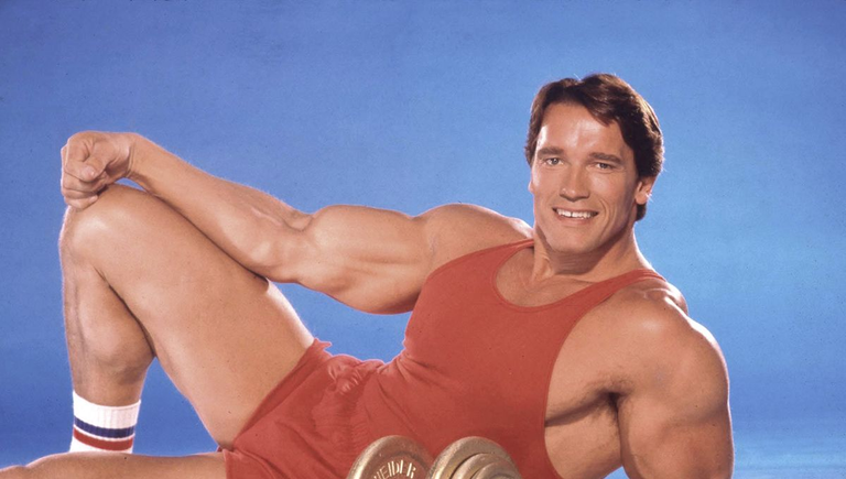 "Honnêtement, l'idée du self made man est un mythe" Arnold Schwarzenegger revient sur son succès à Hollywood