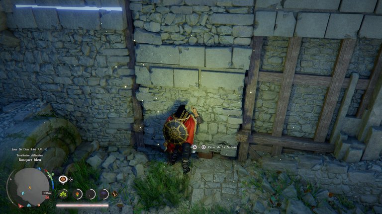 Ruines du bosquet bleu Crimson Desert : comment résoudre son énigme ? 