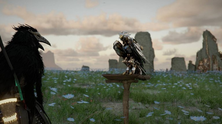 Aigle de fer Crimson Desert : comment obtenir l’oiseau de la 1.05 ? 