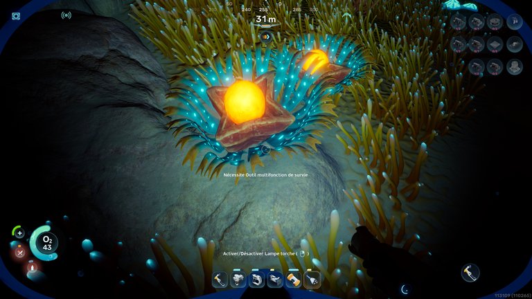 Pulpe fibreuse Subnautica 2 : où en trouver pour fabriquer de la fibre ? 
