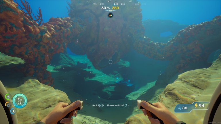 Cténophore ailé Subnautica 2 : comment le soigner pour gagner la capacité à résister à la chaleur ? 