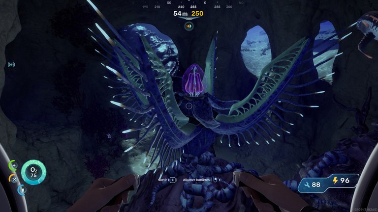 Cténophore ailé Subnautica 2 : comment le soigner pour gagner la capacité à résister à la chaleur ? 