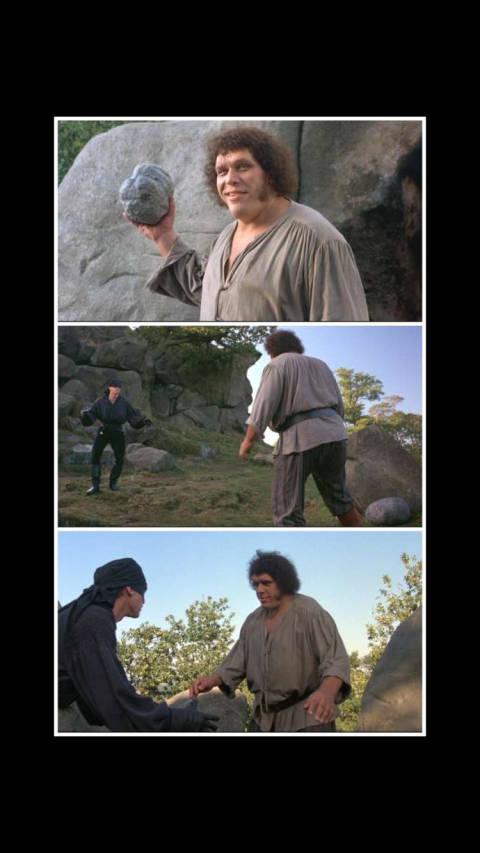 The Princess Bride : The Official Game