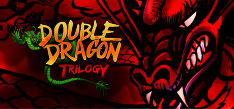 Double Dragon Trilogy sur PC