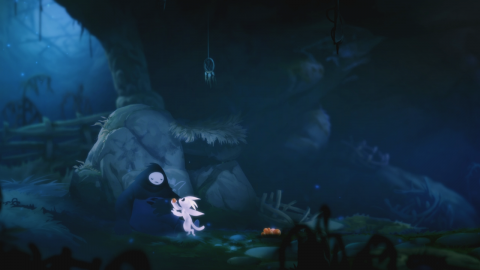 Ori and the Blind Forest : Definitive Edition livre une superbe version Switch