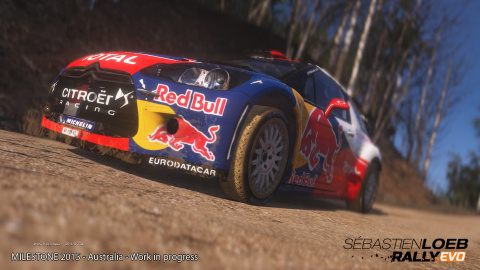 E3 2015 : Images de Sébastien Loeb Rally Evo