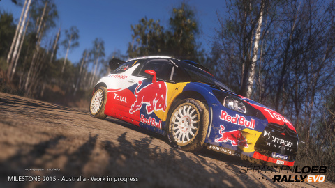 E3 2015 : Images de Sébastien Loeb Rally Evo