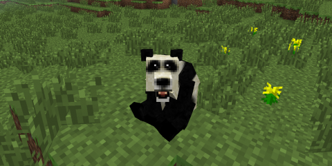 Un panda dans Minecraft