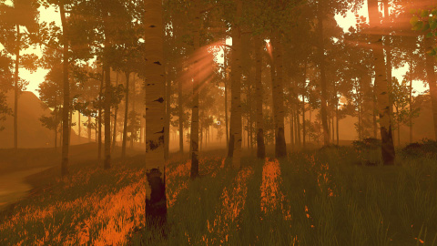 Firewatch : L'adaptation du jeu en film reprend vie selon The Hollywood Reporter