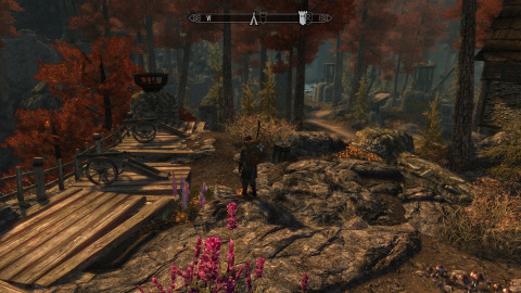 Skyrim : Tamriel à la mode de chez nous