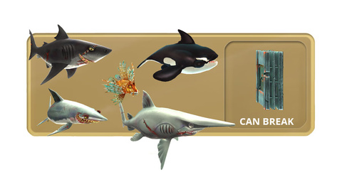 Requins L