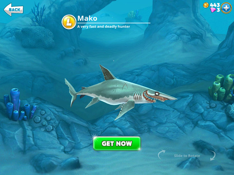 Requins L