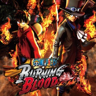One Piece Burning Blood sur PC