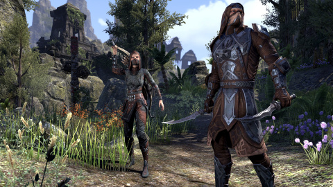 The Elder Scrolls Online : Bethesda met en avant sa communauté