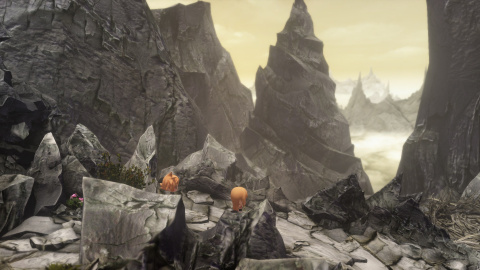 Une flopée d'images pour World of Final Fantasy