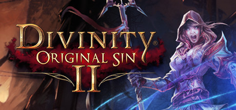 Divinity : Original Sin II sur PC