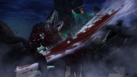 TGS 2016 : Berserk and the Band of the Hawk officialisé en Europe