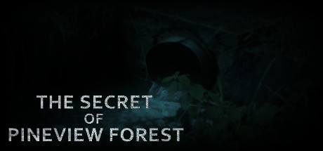 The Secret of Pineview Forest sur PC