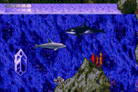Requin, loup, dauphin : Ces jeux qui nous font incarner des animaux