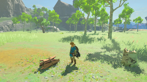Zelda Breath of the Wild : de nouvelles images issues de la version Switch