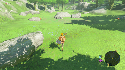 The Legend of Zelda : Breath of the Wild - La Wii U est-elle à la hauteur ?