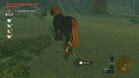 Le cheval géant