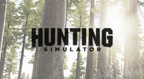 Hunting Simulator sur PS4