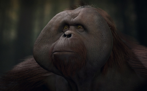 Planet of the Apes : Last Frontier sera une exclusivité temporaire PS4