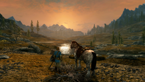 The Elder Scrolls V : Skyrim sur Nintendo Switch - Tout Bordeciel en mode nomade !