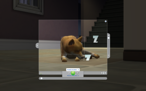 Les Sims 4 : Chiens et Chats - Une extension efficace, mais un poil légère