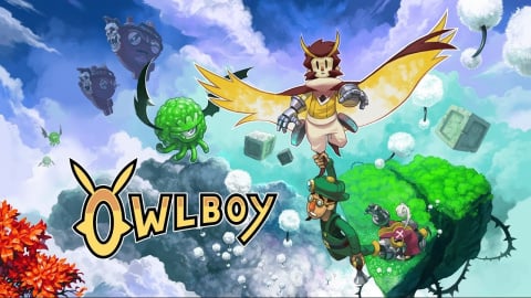 Owlboy sur PC