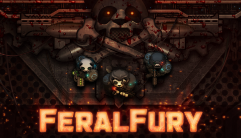 Feral Fury sur PC