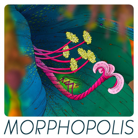 Morphopolis sur iOS