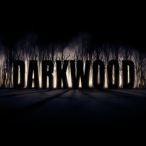 Darkwood sur Linux