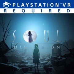 Soul Dimension sur PS4